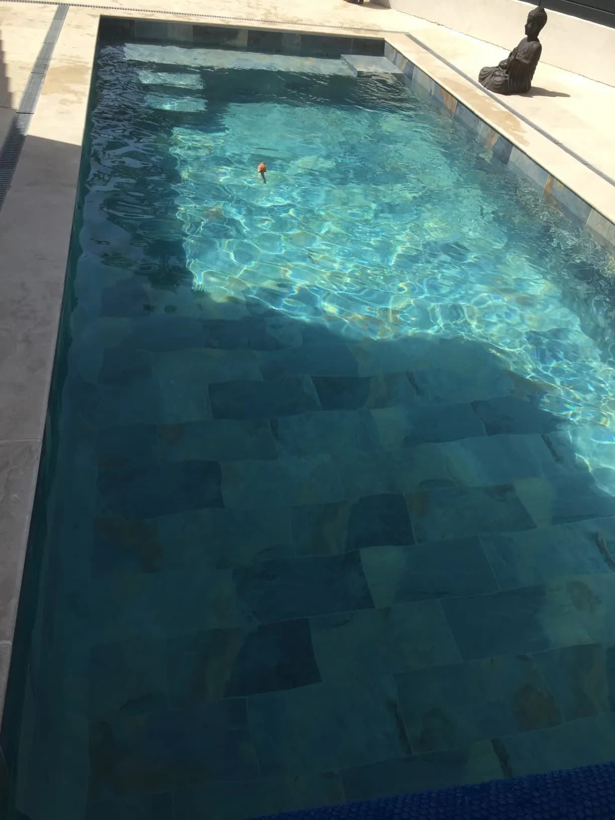 Piscine moderne en Provence